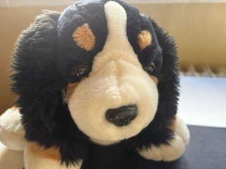 Peluche San Bernardo (Bernie)