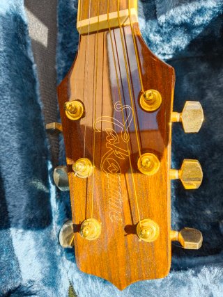 Guitarra Takamine G Series 50 Aniversario