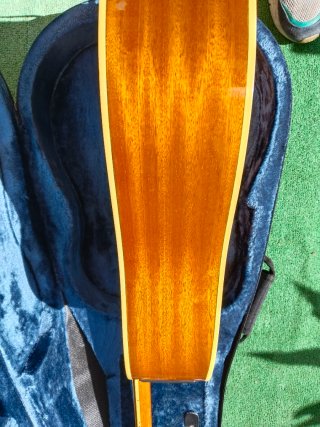 Guitarra Takamine G Series 50 Aniversario