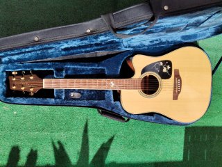 Guitarra Takamine G Series 50 Aniversario