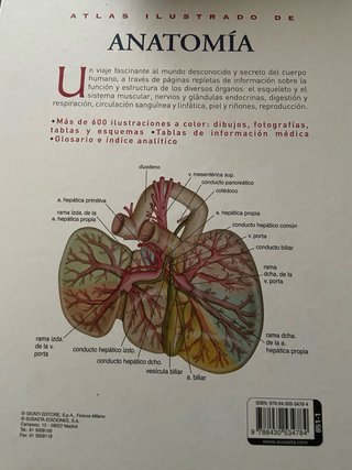 Atlas ilustrado de anatomía