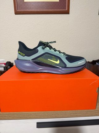 Nike Pegasus 41 GoreTex Talla 45 NUEVAS