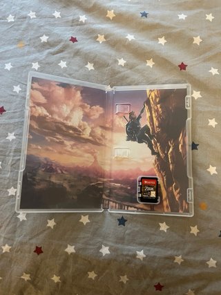 The Legend of Zelda: Breath of the Wild Switch