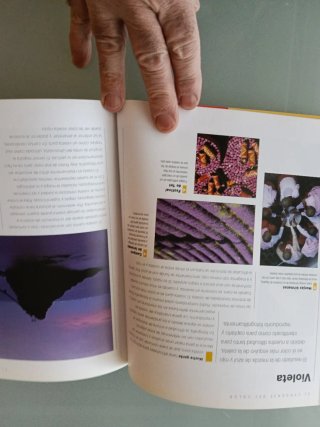 Libro Fotografía Digital El Color Michael Freeman