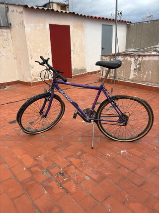 Bicicleta Colorado Adventure One Morada