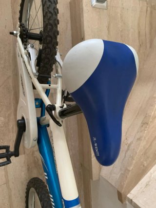 Bicicleta infantil azul y blanca
