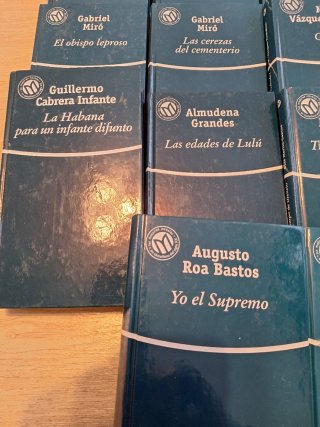 Lote de 18 libros Novelas del s.XX en castellano