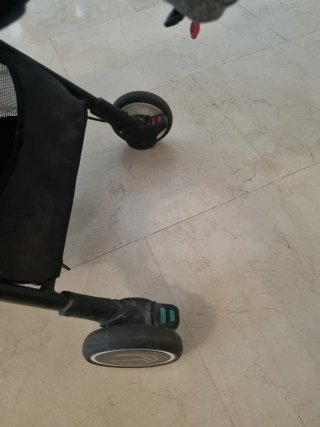 Silla de paseo Jane Rock