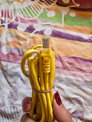 Lote de Cables de red Ethernet (2 unidades)
