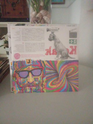 J (Planetas) Plena Pausa Vinilo