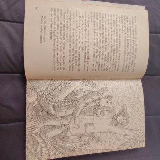 El tesoro del molino viejo. Hannelore Valencia.