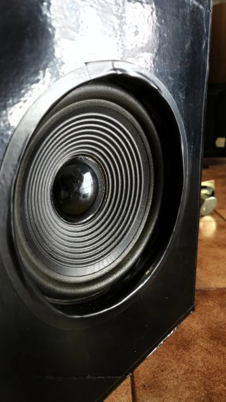 Woofer Majestic 8 200W