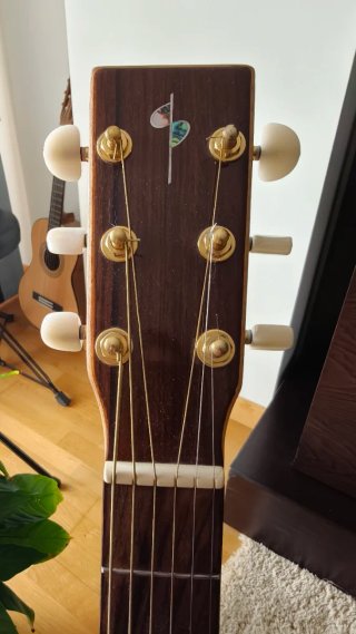 Guitarra Electroacústica Alta Gama
