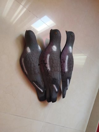 4 Palomas de plástico para caza