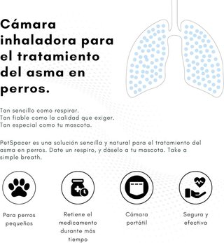 Cámara inhalador perro