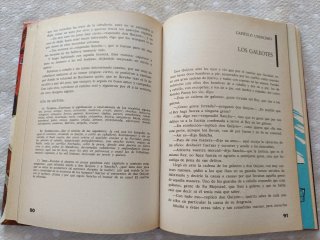 El ingenioso hidalgo Don Quijote de la Mancha