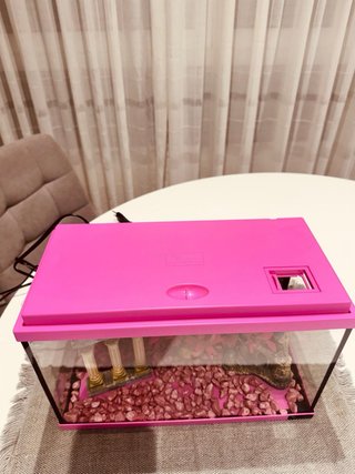Acuario 16L con filtro y decoración