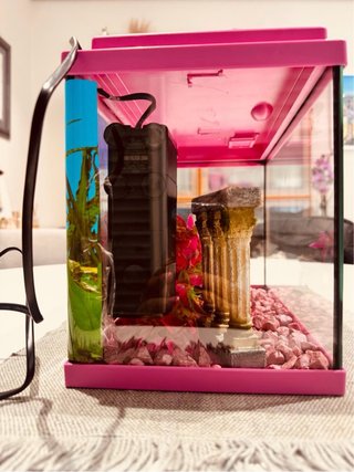 Acuario 16L con filtro y decoración