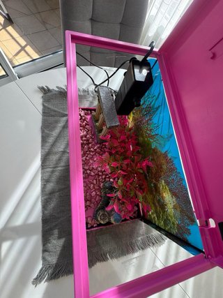 Acuario 16L con filtro y decoración