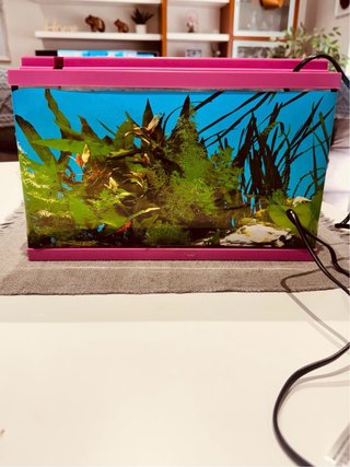 Acuario 16L con filtro y decoración