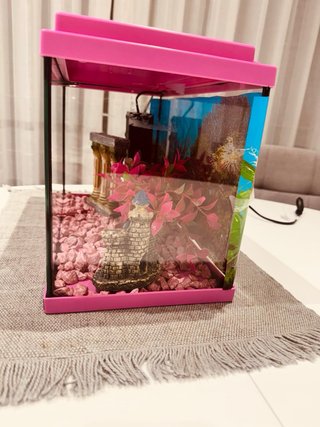 Acuario 16L con filtro y decoración
