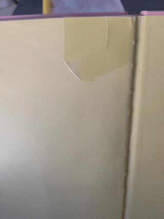 Marina YA No Quiere Llevar Panales