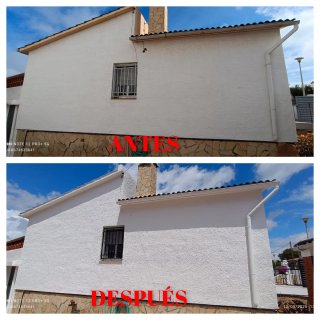 PINTOR