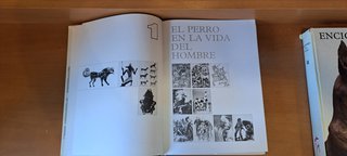 Enciclopedia del perro en 2 tomos.
