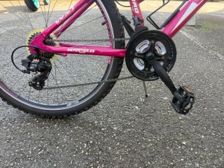 Bicicleta WST Cosmo Talla 14