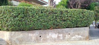 Soy jardinero y trabajo con pasión, profesionalism