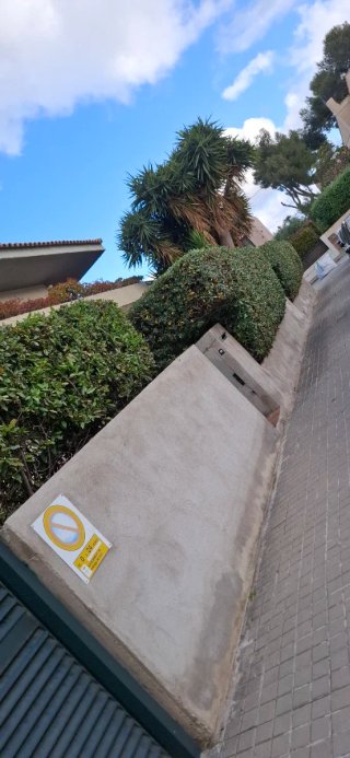 Soy jardinero y trabajo con pasión, profesionalism