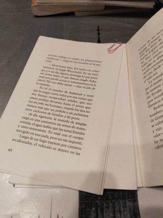 Historia de un perro llamado Leal