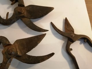 Tijeras de podar antiguas