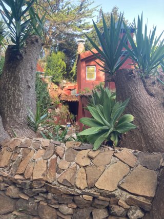 Alquiler Huerto con sello Ecológico y casa