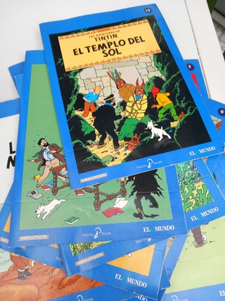Colección 22 DVDs Tintín