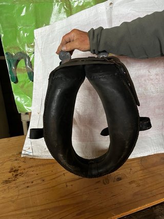 Collarón de caballo
