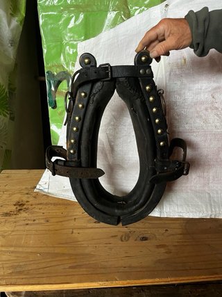 Collarón de caballo