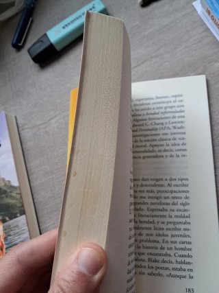 Pequeño tratado de los grandes vicios