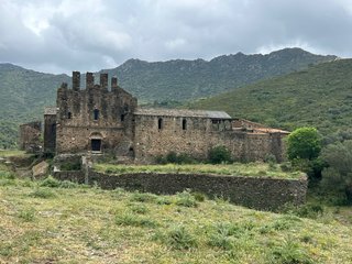 Es busca vinya jove o vella a alt emporda