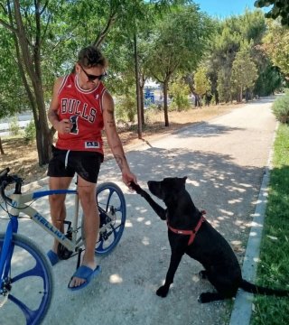 Bicicleta helliot
