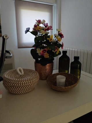 Estética