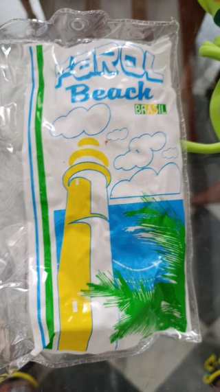 Bikini Brasileño Verde con Flores