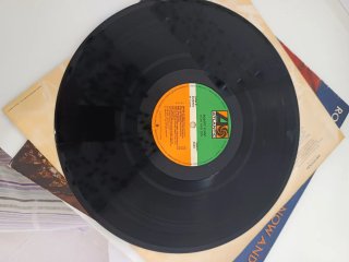 Vinilo Robert Plant Now and Zen