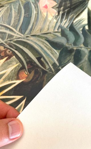 Lámina Adhesiva "Equatorial Jungle" Rousseau 50x33