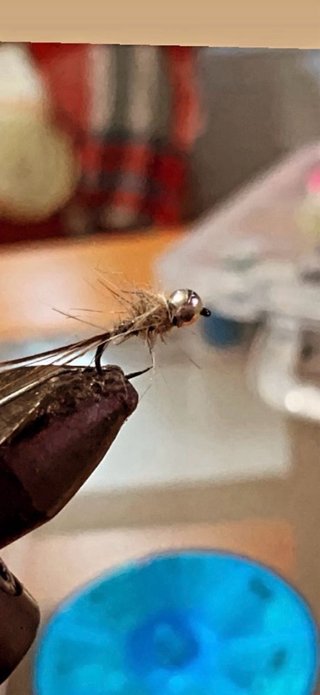 Ninfas y perdigones pesca mosca