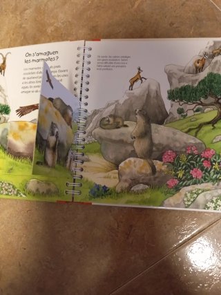 A la muntanya amb un joc de busca i troba