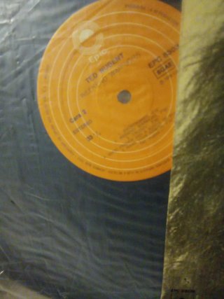 Ted Nugent Weekend Warriors LP Vinilo