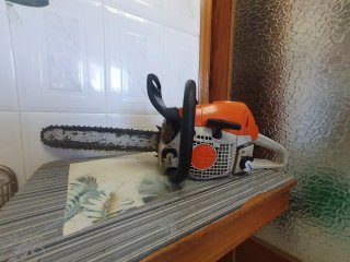 Motosierra Stihl MS 251
