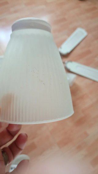 Ventilador de techo blanco y plateado