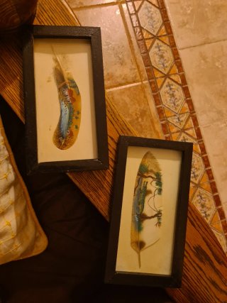 2 Plumas Pintadas a Mano de Cuba